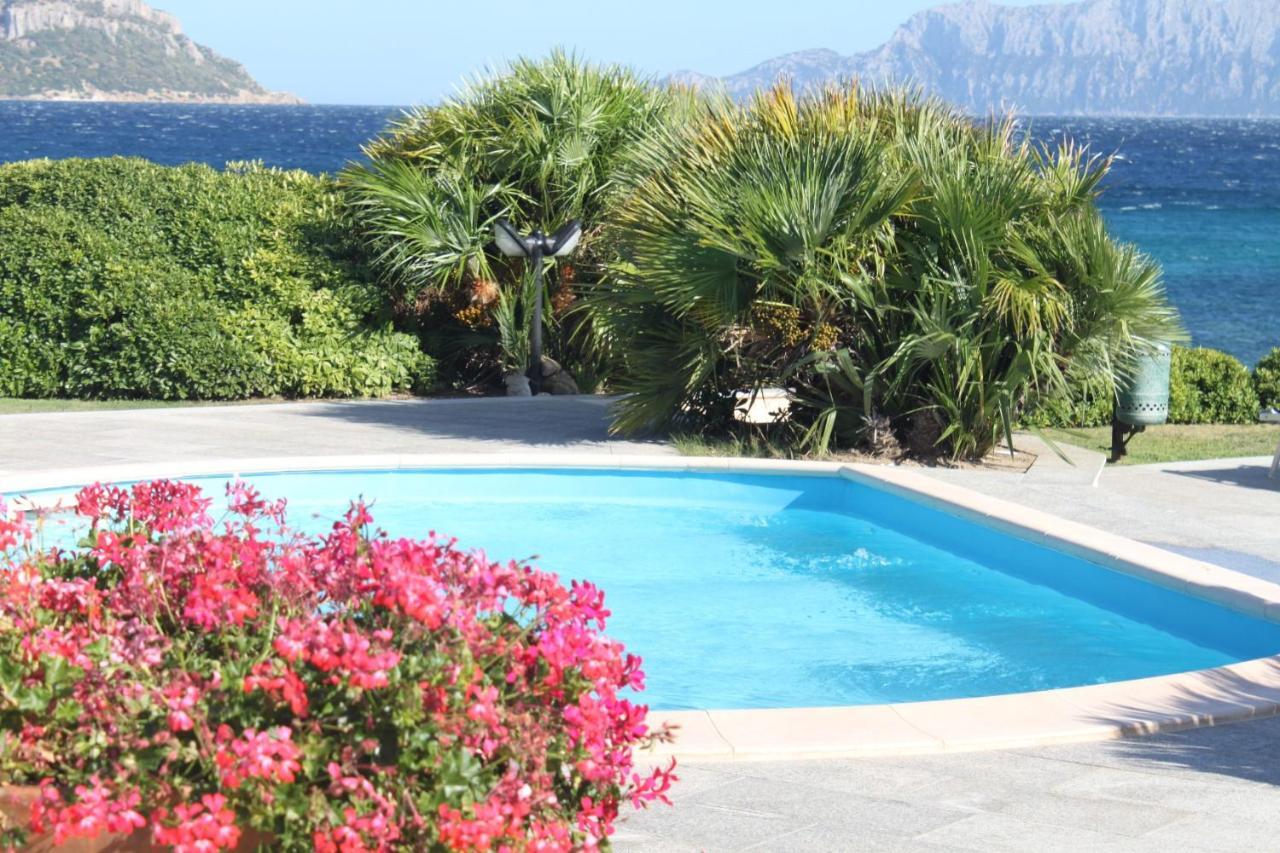Apartment In S'Abba E Sa Pedra With Pool Golfo Aranci Εξωτερικό φωτογραφία